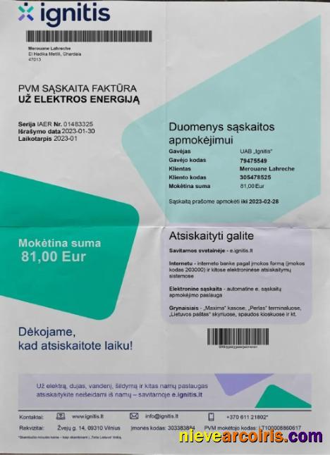 Lithuania Ignitis electricity bill